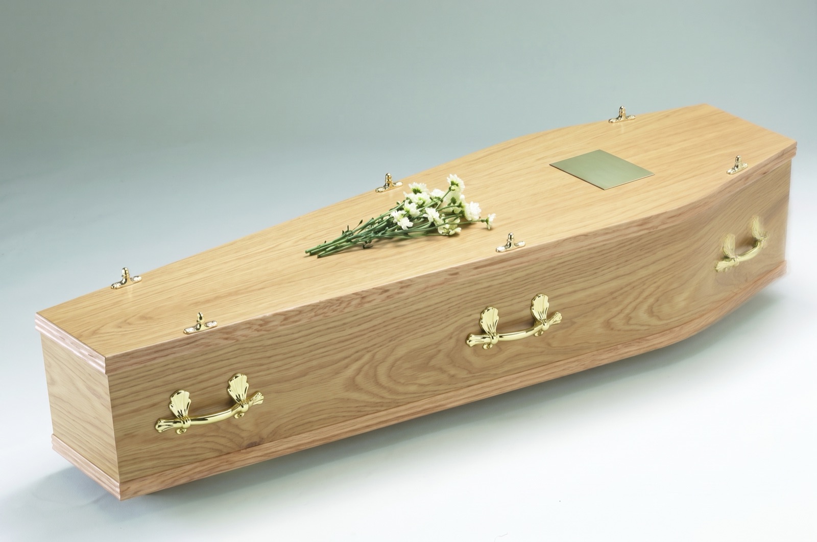 The Regent coffin